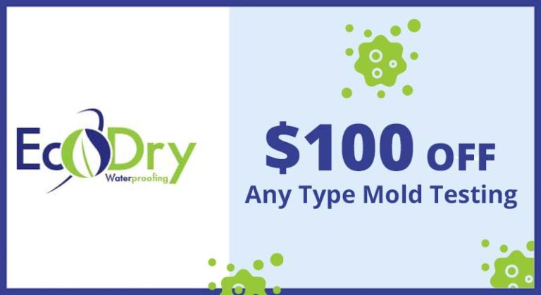 $100 off any mold type testing