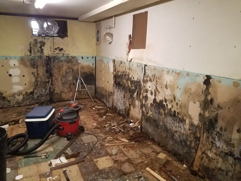 basement before mold remediation